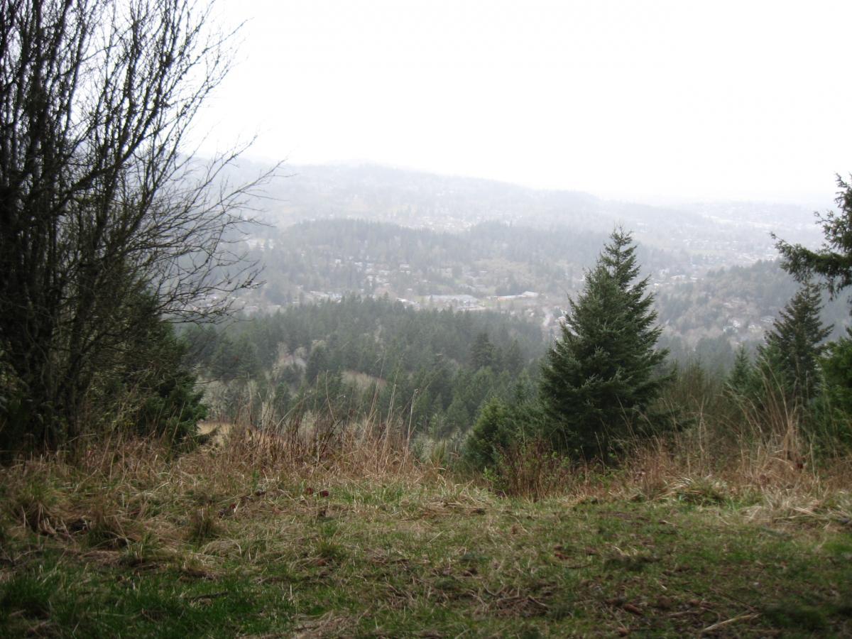 A scenic view of a misty landscape with rolling hills covered in evergreen trees. In the foreground, there is a patch of grass and sparse shrubs, leading to a distant view of a valley and a small town shrouded in fog. The atmosphere is calm and tranquil, typical of a cool, overcast day in a forested area. Ridgeline Trail mountain bike trail.
