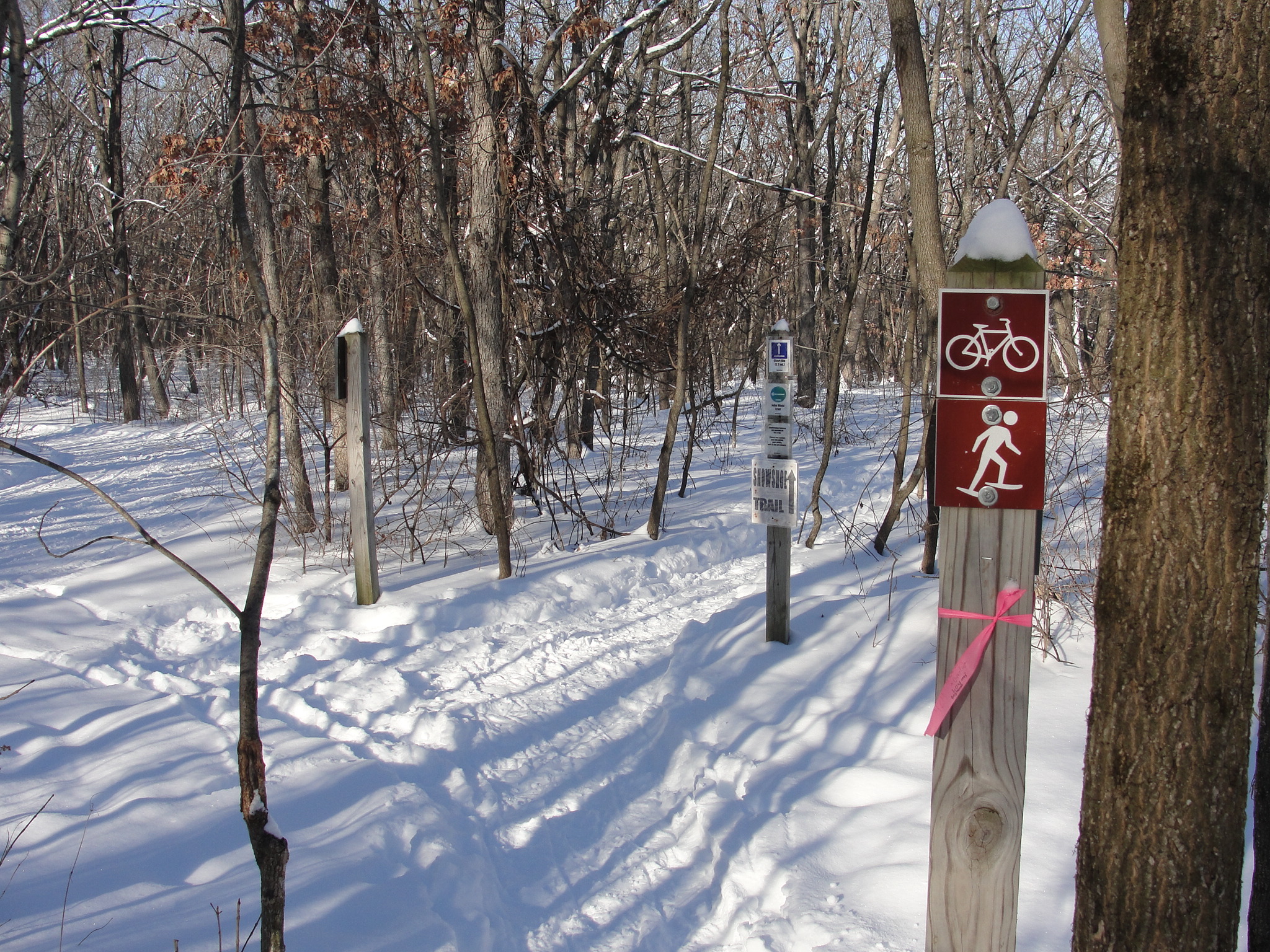 A snowy trail winding through a wooded area, with trail signs indicating pathways for biking and walking. The ground is covered in fresh snow, and sunlight casts soft shadows among the trees. A pink ribbon is tied to one of the wooden posts.