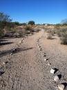 A winding dirt path bordered by small stones, leading through a desert landscape with sparse vegetation and a clear blue sky. Naranja Park mountain bike trail.