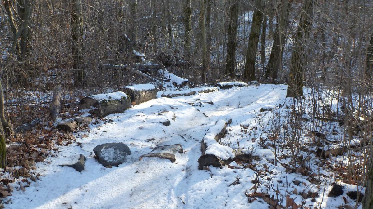 A snowy forest path surrounded by trees, with scattered logs and rocks along the trail. The ground is covered in a thin layer of snow, and the scene has a serene, wintry feel. Hillside Park mountain bike trail.