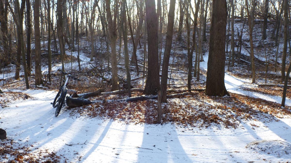 A snow-covered path winding through a forest, with trees on both sides and fallen leaves scattered on the ground. A mountain bike leans against a log near the trail. Sunlight filters through the branches, creating shadows on the snow. Hillside Park mountain bike trail.