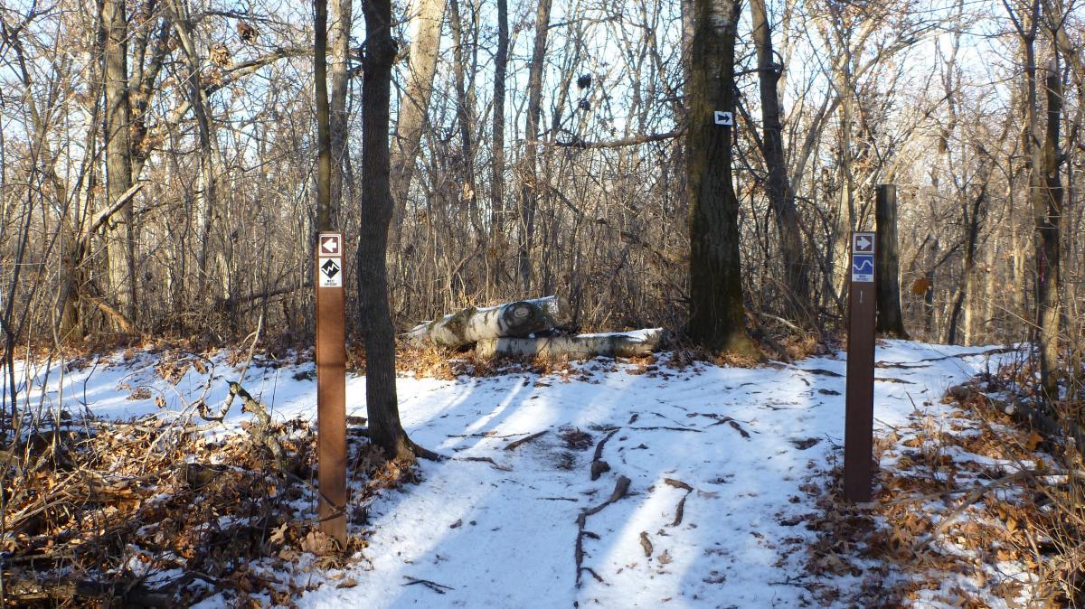 Two trail markers stand at the intersection of two snowy paths in a forest. The left marker features a left-arrow and a water symbol, while the right marker displays a right-arrow. Surrounding the markers are bare trees and scattered fallen leaves, indicating a winter scene. Snow covers the ground, creating a serene, quiet atmosphere in the woods. Hillside Park mountain bike trail.
