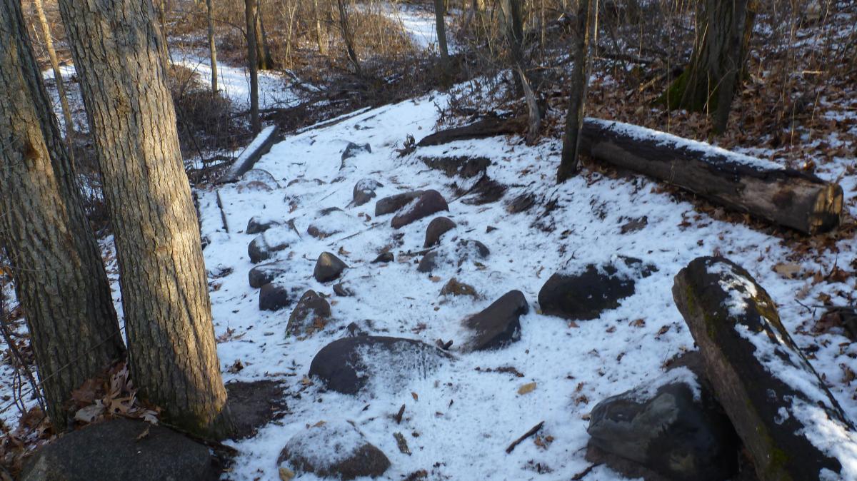 A winding path covered in snow, bordered by trees and large stones arranged along the ground. There are fallen logs nearby, and the surrounding area features a mix of bare branches and scattered leaves, indicating a late autumn or early winter setting. Hillside Park mountain bike trail.