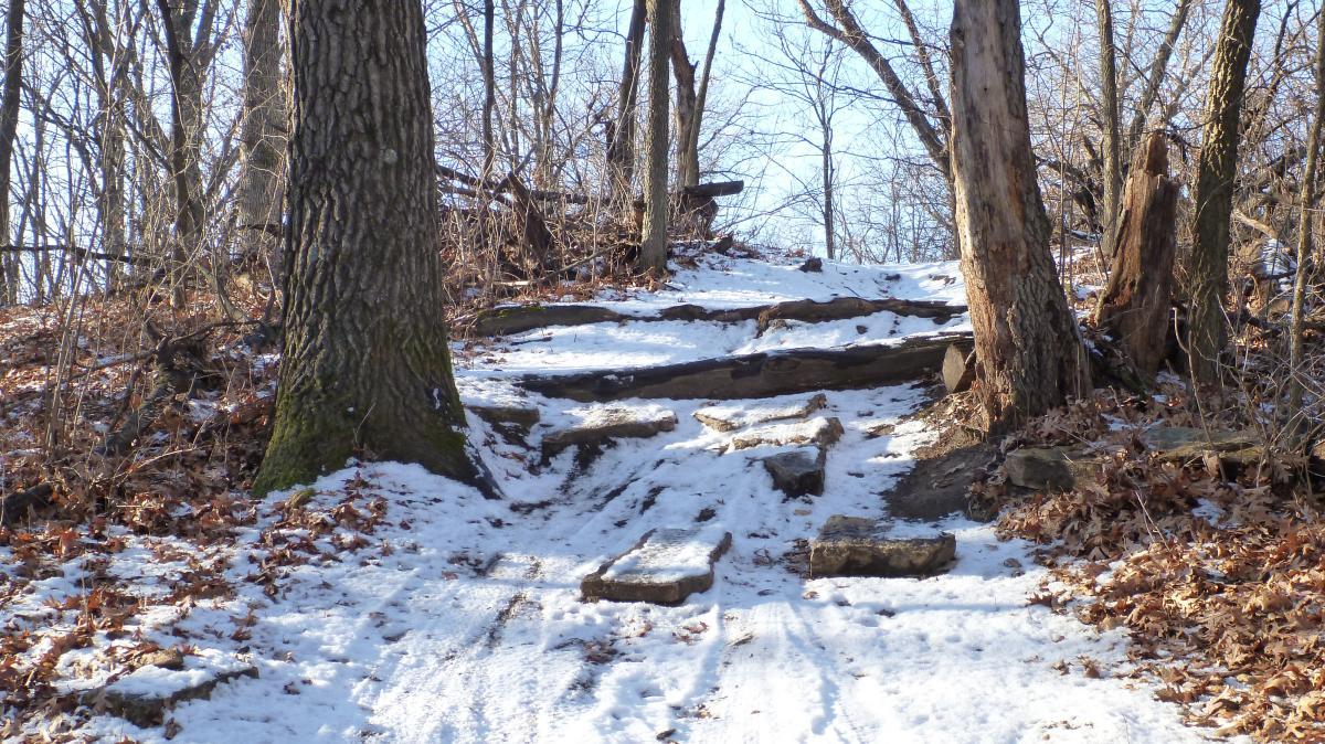 A snowy path winding through a wooded area, featuring rocky steps and lined by bare trees with some fallen leaves on the ground. Hillside Park mountain bike trail.