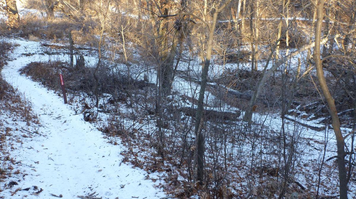 A snow-covered hiking trail curving through a wooded area with bare trees and autumn leaves scattered on the ground. A signpost is visible along the path, indicating the trail direction. The scene suggests a peaceful, winter landscape. Hillside Park mountain bike trail.