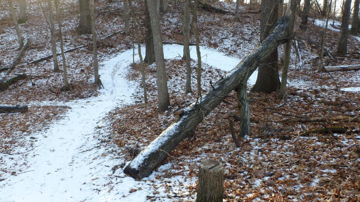 A winding trail covered with snow and surrounded by bare trees and fallen leaves in a forest setting. A large fallen log rests on the ground, and a tree stump is visible in the foreground. The scene conveys a quiet, wintry atmosphere. Hillside Park mountain bike trail.