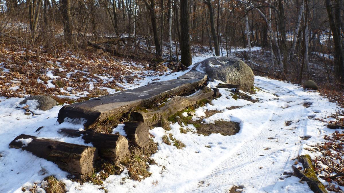 A rugged trail in a forest covered with a layer of snow, featuring a fallen log next to a large boulder. Leaves from deciduous trees are scattered on the ground, hinting at the change of seasons, while the surrounding trees are bare. Hillside Park mountain bike trail.