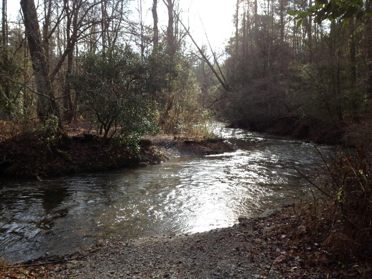 A serene view of a winding river surrounded by trees and underbrush, with sunlight filtering through the branches. The water is gently flowing, reflecting the light, and there are patches of greenery along the riverbank. The scene captures a peaceful moment in nature, evoking a sense of tranquility. Jake Mountain Trails mountain bike trail.