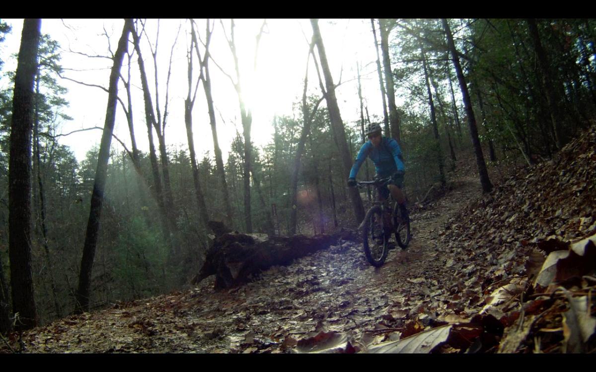 A cyclist riding a mountain bike along a wooded trail covered in fallen leaves, with sunlight filtering through the trees. The scene captures the essence of outdoor adventure and nature. Jake Mountain Trails mountain bike trail.