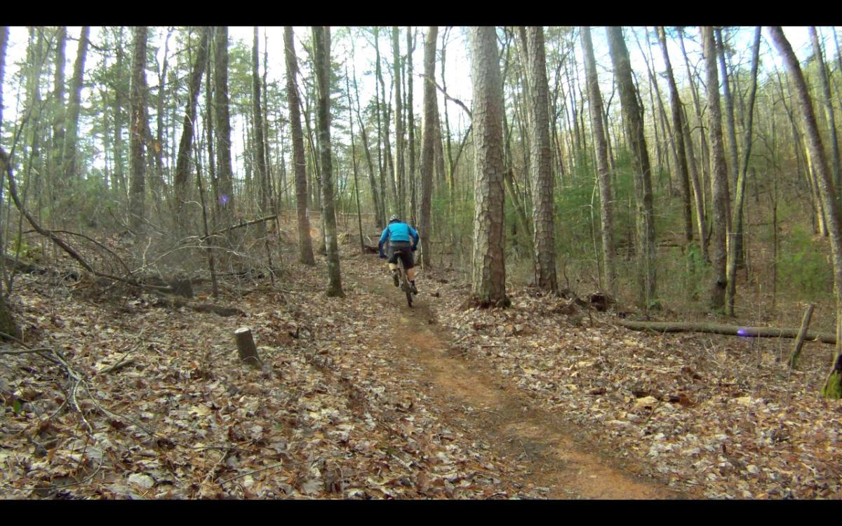 A mountain biker wearing a blue jacket rides along a narrow dirt trail surrounded by trees in a forest. The ground is covered with fallen leaves, and the scenery features tall trees and underbrush, indicating a natural outdoor environment. Jake Mountain Trails mountain bike trail.