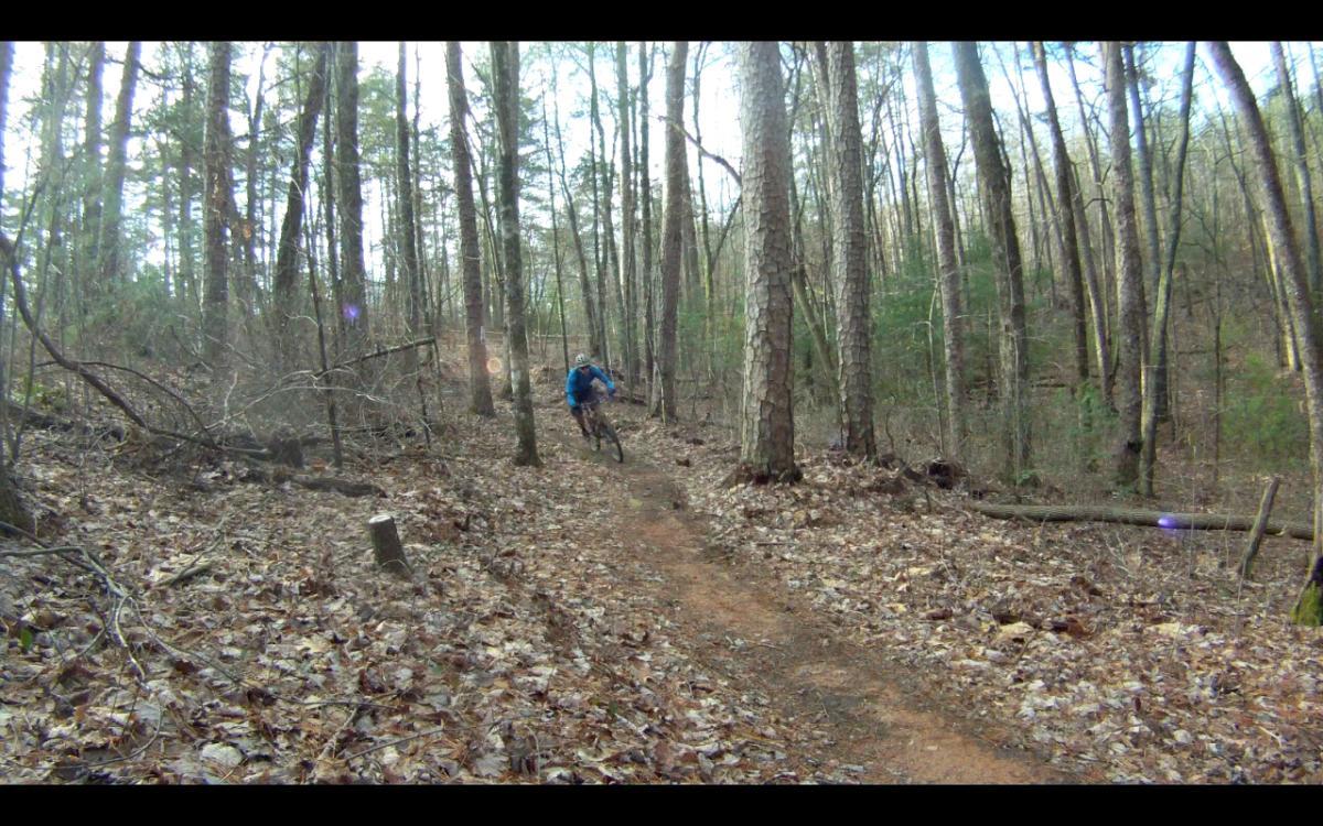 A mountain biker in a blue jacket navigates a winding dirt trail surrounded by tall trees and fallen leaves in a forested area. Jake Mountain Trails mountain bike trail.