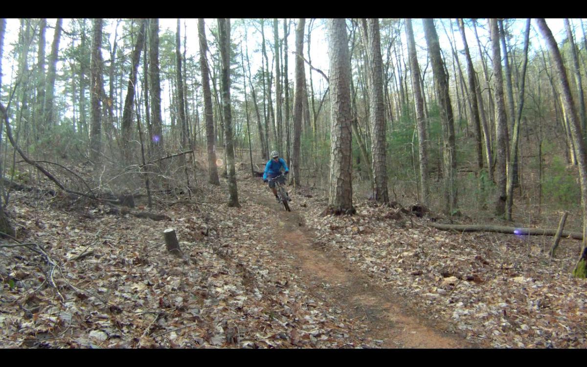 A mountain biker in a blue jacket navigates a dirt trail through a wooded area, surrounded by tall trees and fallen leaves. The rider is leaning into a turn, showcasing action and movement in a natural outdoor setting. Jake Mountain Trails mountain bike trail.