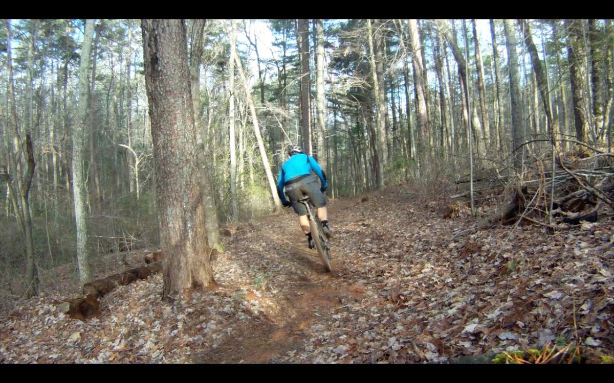 A person in a blue jacket rides a mountain bike along a dirt trail in a wooded area, surrounded by tall trees and fallen leaves. Jake Mountain Trails mountain bike trail.