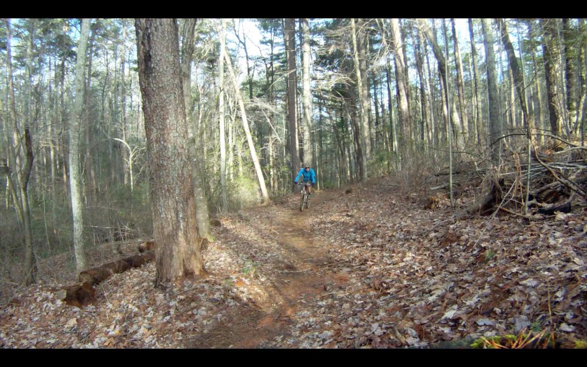 A cyclist wearing a blue jacket rides along a winding dirt trail through a wooded area, surrounded by tall trees and scattered leaves on the ground. Jake Mountain Trails mountain bike trail.