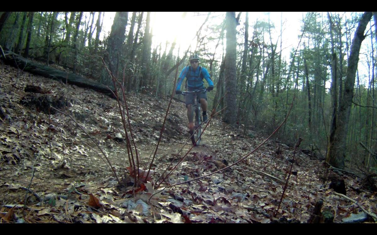 A cyclist wearing a blue jacket and shorts rides a mountain bike on a leafy, winding trail through a dense forest, with sunlight filtering through the trees. Jake Mountain Trails mountain bike trail.