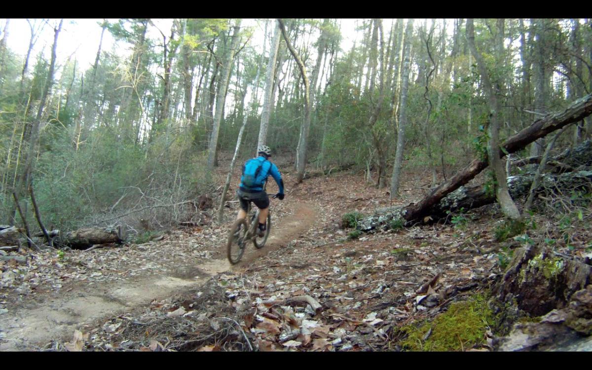 A mountain biker riding along a dirt trail in a dense forest, surrounded by trees and scattered leaves on the ground. The biker is wearing a blue jacket and a helmet, navigating a curvy path. Jake Mountain Trails mountain bike trail.