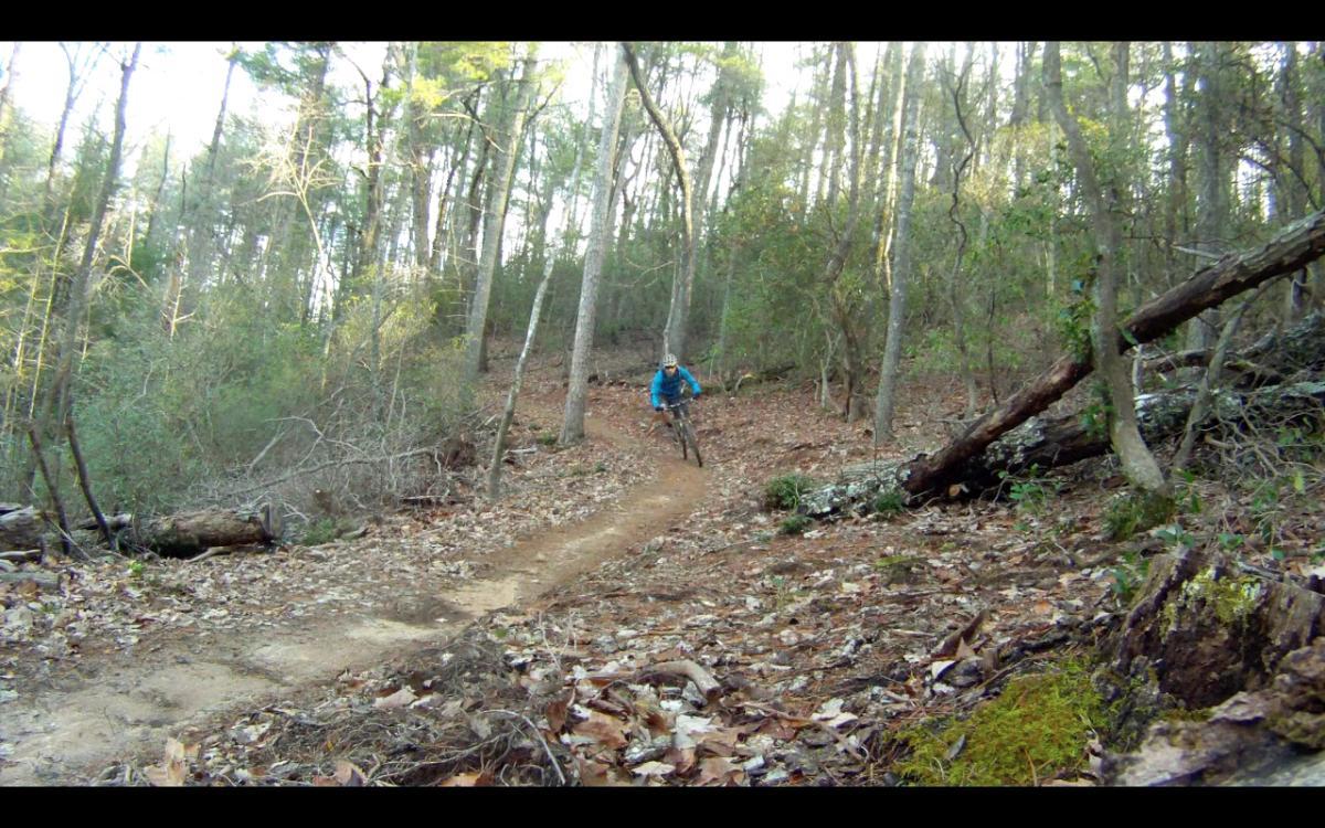 A person riding a mountain bike along a winding trail in a wooded area, surrounded by trees and fallen leaves. The cyclist is wearing a blue jacket and a helmet, navigating through a natural forest setting during daylight. Jake Mountain Trails mountain bike trail.