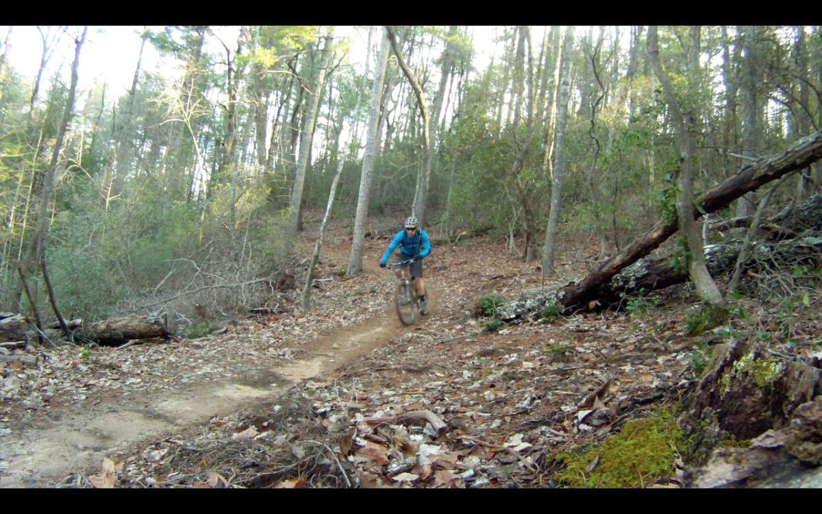 A mountain biker riding on a dirt trail through a wooded area, surrounded by trees and foliage, with fallen leaves covering the ground. Jake Mountain Trails mountain bike trail.