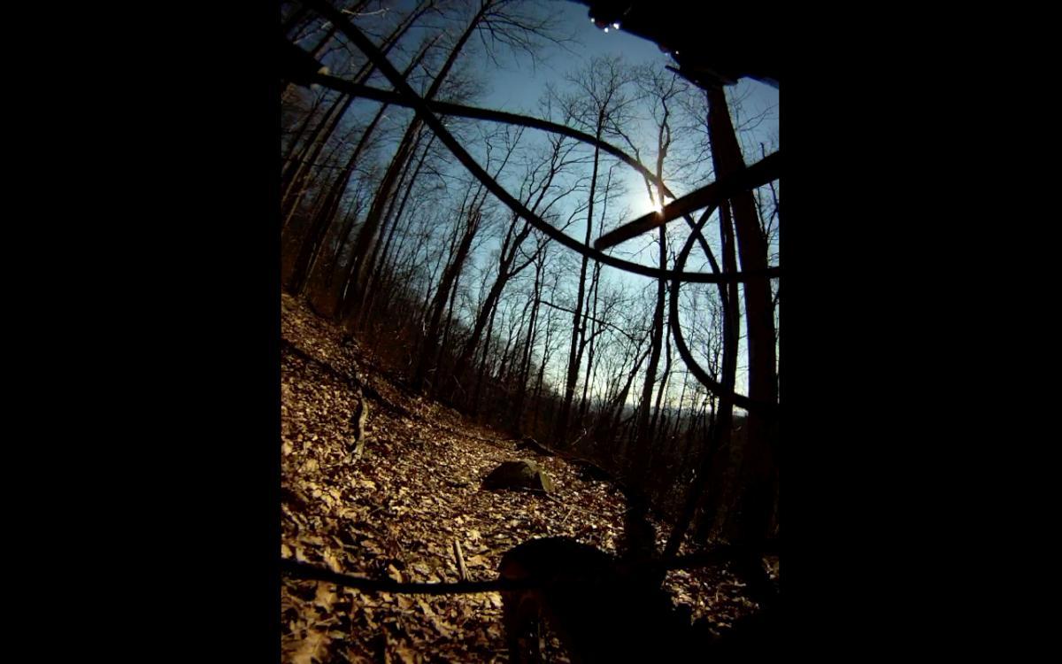 A view of a forest path framed by tree branches, with sunlight filtering through the trees. The ground is covered in dry leaves, and a large rock is visible in the center of the path, suggesting a serene woodland environment. Etowah River Trail mountain bike trail.