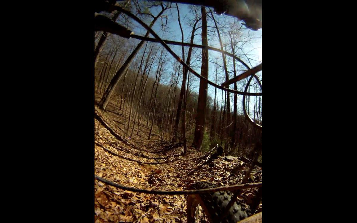 A close-up view of a mountain bike positioned on a forest trail covered with fallen leaves, framed by trees in a dense woods. The image captures the bike's wheel and some foliage, with sunlight filtering through the tree branches, suggesting a clear day for outdoor cycling. Etowah River Trail mountain bike trail.