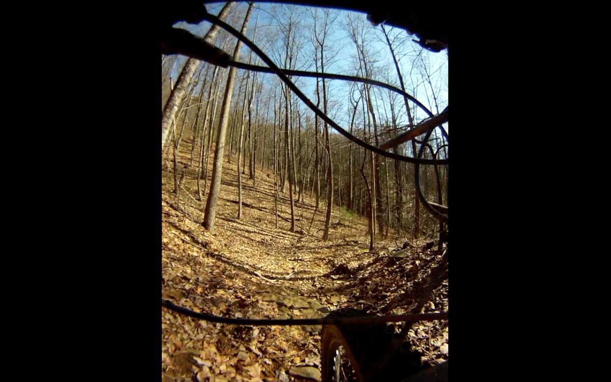 A view from a mountain bike looking down a forest trail. The scene includes tall, bare trees against a clear blue sky and a ground covered with fallen leaves and rocks. The bike's handlebars and cables are partially visible in the foreground. Etowah River Trail mountain bike trail.