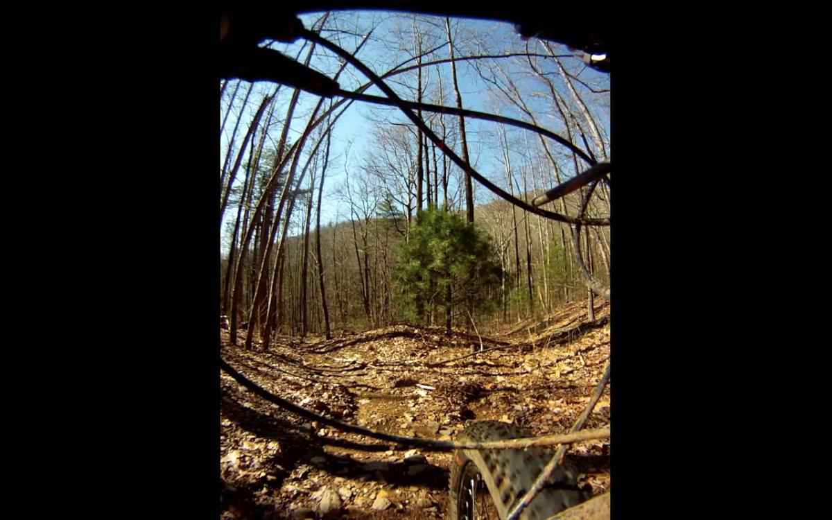 Image of a mountain bike trail seen from the perspective of a rider, showcasing the path ahead and surrounding forest. The landscape features bare trees, scattered leaves on the ground, and a few green pines in the background under a clear blue sky. Etowah River Trail mountain bike trail.