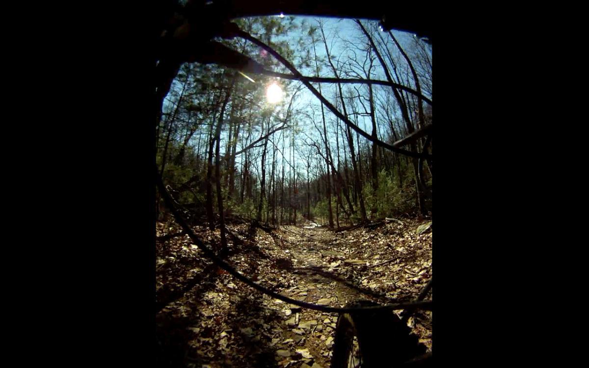 A view of a dirt path winding through a forest, captured from the perspective of a bicycle. The sun shines brightly in the sky above, partially obscured by tree branches. The ground is covered in fallen leaves, and trees with sparse foliage surround the path. Etowah River Trail mountain bike trail.