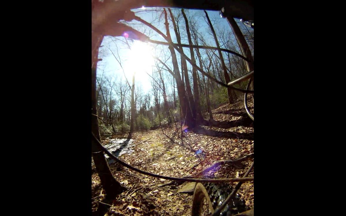 A view of a sunlit forest trail captured from the perspective of a bicycle, featuring tree branches, dried leaves, and a glimpse of the bike's wheel. The sunlight filters through the trees, creating a sense of adventure in nature. Etowah River Trail mountain bike trail.