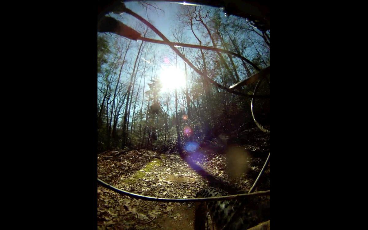 A view from a mountain bike on a sunny trail, framed by the bike's handlebars and a blurred foreground. Sunlight filters through trees in the background, casting a warm glow on the leaf-covered ground, suggesting an outdoor adventure in a wooded area. Etowah River Trail mountain bike trail.