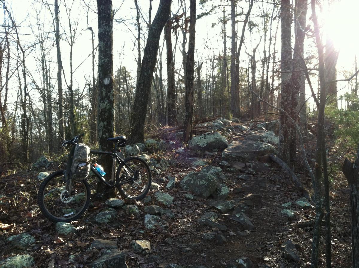 A mountain bike rests beside a rocky trail in a wooded area, with tall trees and scattered leaves visible. Sunlight filters through the branches, illuminating the path ahead. White Oak Mtn Biology Trails mountain bike trail.