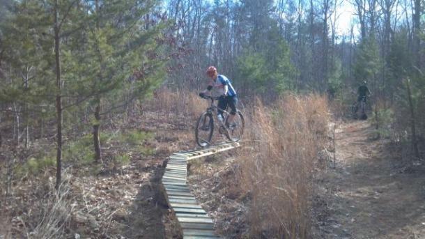 A mountain biker navigating a narrow wooden path through a forested area with sparse vegetation and trees in the background. The cyclist is wearing a helmet and riding on a trail that winds through the natural landscape. Woolwine Trails [Shiners Revenge] mountain bike trail.