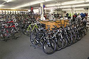 A spacious bicycle shop filled with a variety of bicycles, including mountain and road bikes, displayed prominently in rows. In the background, there is a service counter with cycling gear and accessories on shelves. The shop has a well-organized layout with bright lighting.