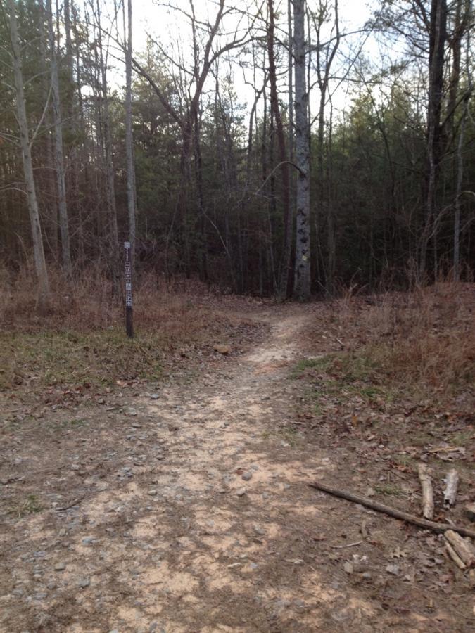 A dirt trail leading into a wooded area, with sparse foliage and a signpost on the left side indicating the direction of the path. The terrain is rocky and bare, surrounded by tall trees with some greenery visible in the background. The scene is tranquil and inviting for a hike or nature walk. Bull Mountain / 223 mountain bike trail.