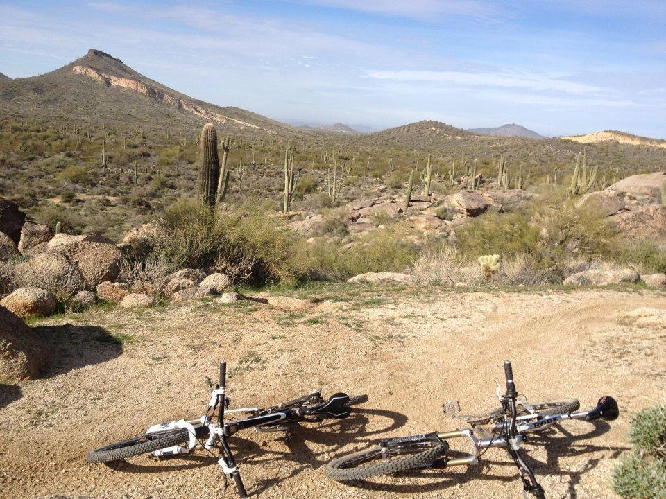 Two mountain bikes lie on a dirt path in a desert landscape, surrounded by cacti and rocky terrain. In the background, a mountainous area is visible under a clear blue sky. The scene conveys a sense of adventure and the beauty of nature. Pima Road and Dynamite Blvd mountain bike trail.