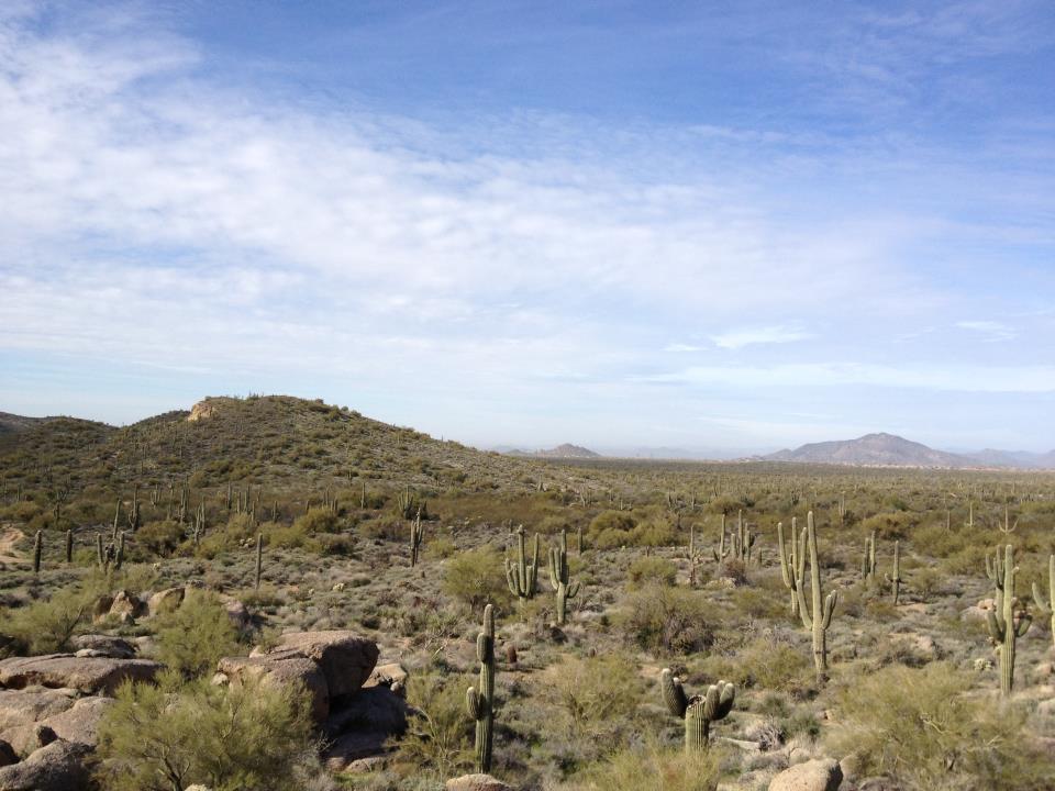 A wide view of a desert landscape featuring rolling hills, scattered cacti, and shrubs under a bright blue sky with some wispy clouds. The terrain is rocky with patches of vegetation, showcasing the natural beauty of a desert environment. Pima Road and Dynamite Blvd mountain bike trail.