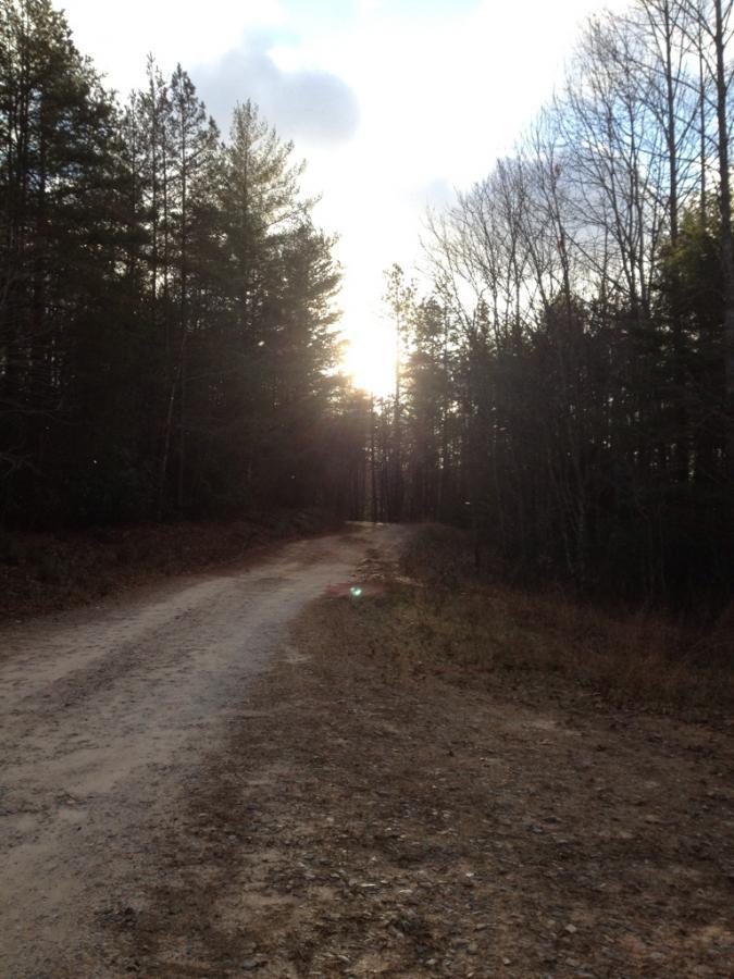 A winding dirt path through a wooded area, lined with tall trees. The sun is setting in the background, casting a warm glow and creating a tranquil atmosphere. Cirrus clouds are visible in the sky, adding to the serene landscape. Bull Mountain / 223 mountain bike trail.