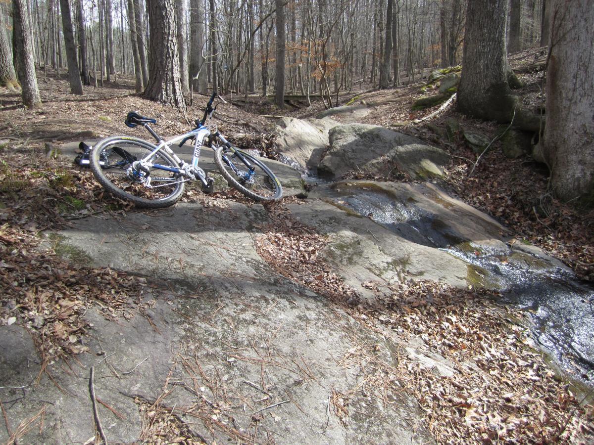 A mountain bike lying on rocky terrain next to a small stream, surrounded by trees and fallen leaves in a wooded area. Dauset Trails Nature Center mountain bike trail.