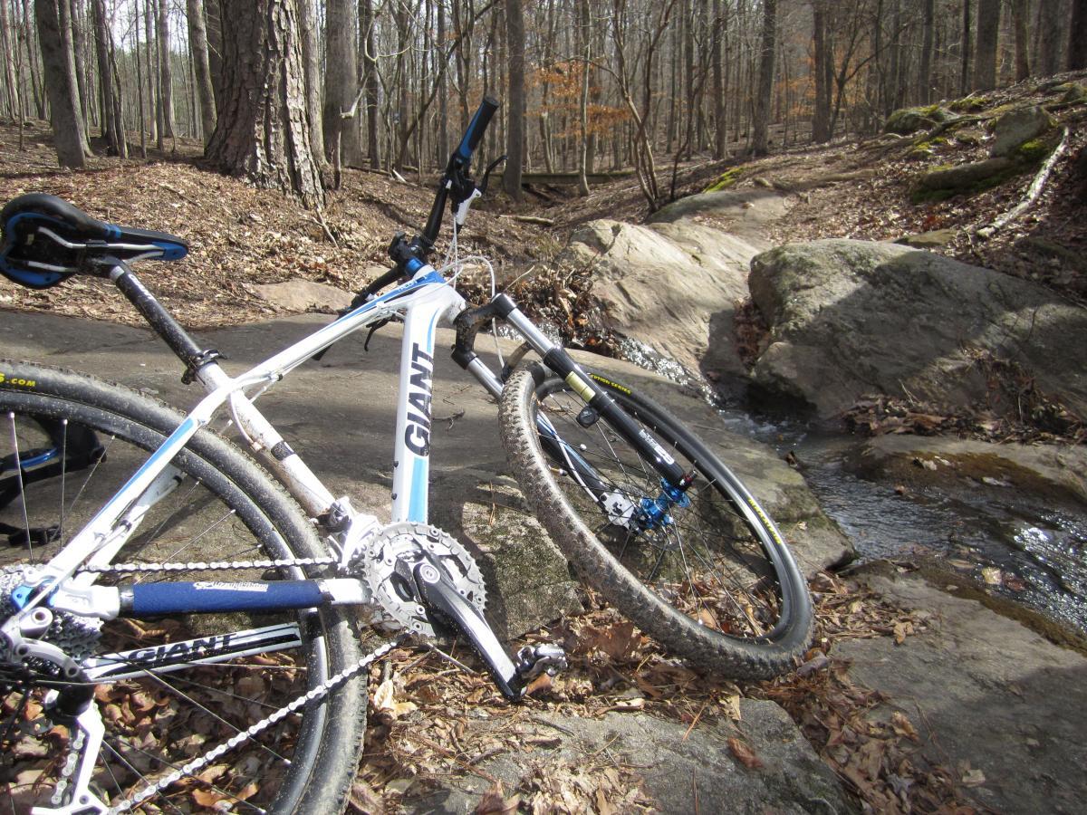 A pair of mountain bikes leaning against a rocky area beside a small stream in a wooded environment. The scene features dry leaves and moss-covered stones, with trees in the background, indicating a peaceful outdoor setting. Dauset Trails Nature Center mountain bike trail.