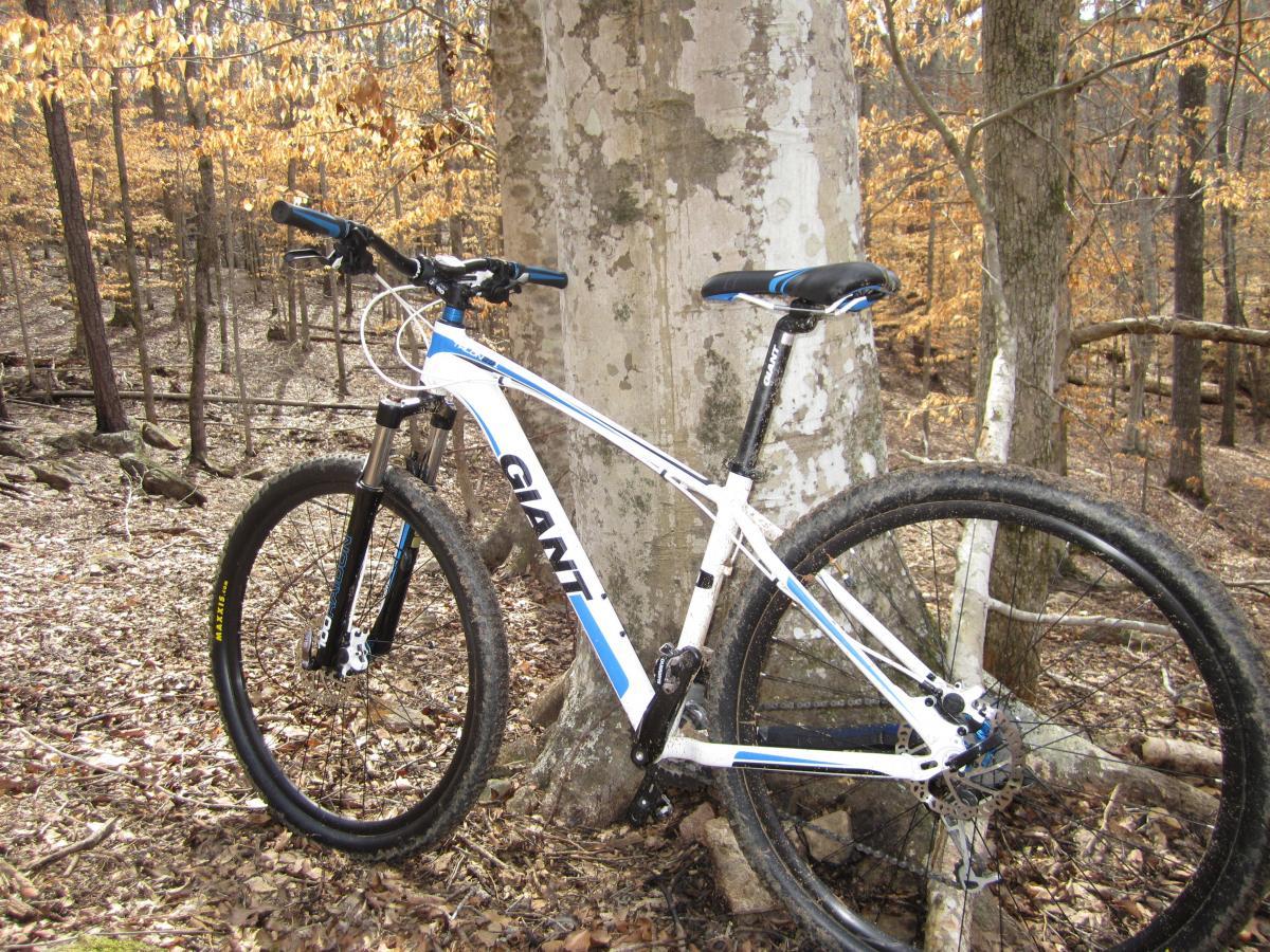 A mountain bike leaning against a tree in a forested area with autumn leaves on the ground and trees in the background. The bike features a white and blue frame with large black tires. Dauset Trails Nature Center mountain bike trail.