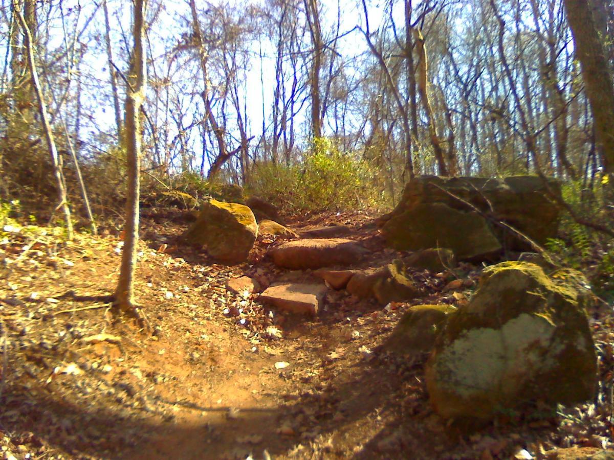 A dirt path winding through a wooded area, featuring several large rocks and boulders, with scattered leaves on the ground and trees in the background under a clear blue sky. Hobby Park mountain bike trail.