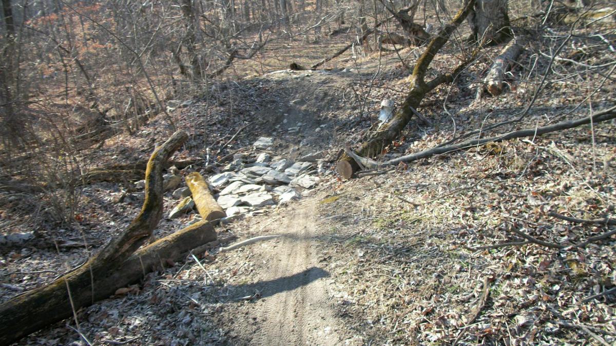 A dirt path winding through a wooded area, with exposed rocks and fallen logs surrounding it. The ground is covered with fallen leaves, and trees are bare, suggesting early spring or late autumn. Freedom Center mountain bike trail.