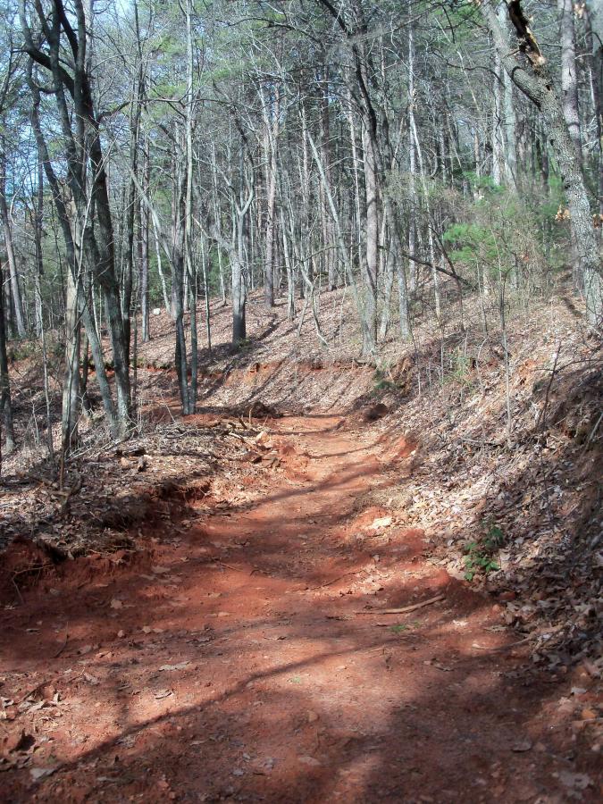 A dirt trail winding through a wooded area, surrounded by trees with sparse leaves and a forest floor covered in fallen leaves. The path is slightly uneven, with reddish soil visible along the edges. Sunlight filters through the branches, casting shadows on the trail. Bull / Jake Mountain mountain bike trail.