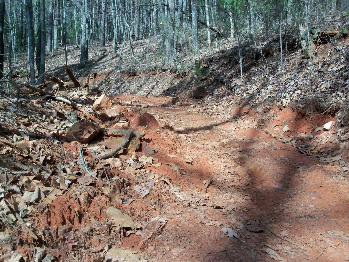 A narrow dirt trail surrounded by trees in a forest, featuring red soil and scattered leaves. The path is uneven with rocks and tree branches along the sides, indicating natural erosion and maintaining a rustic, untouched appearance. Sunlight filters through the trees, casting shadows on the ground. Bull / Jake Mountain mountain bike trail.