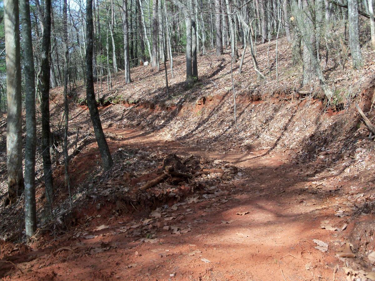 A winding dirt path through a wooded area, surrounded by trees with sparse foliage and a ground covered in fallen leaves. The terrain features reddish soil, and the trail curves to the left, showing signs of erosion along the edges. Bull / Jake Mountain mountain bike trail.