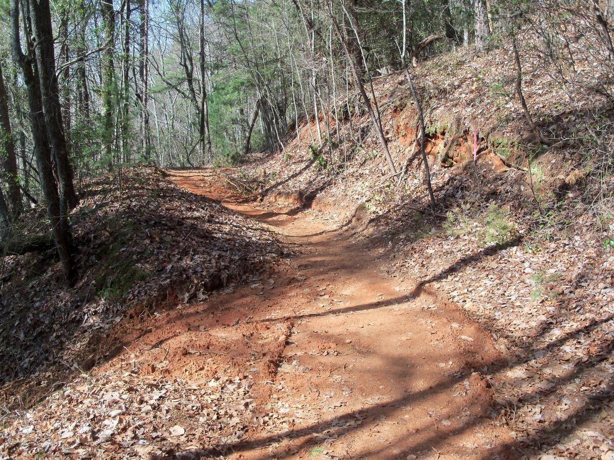 A dirt trail winding through a wooded area, surrounded by trees and scattered dried leaves. The path is flanked by sloping sides, showing rocky soil, with markers indicating the trail's boundaries. Sunlight filters through the greenery, creating a serene outdoor atmosphere. Bull / Jake Mountain mountain bike trail.