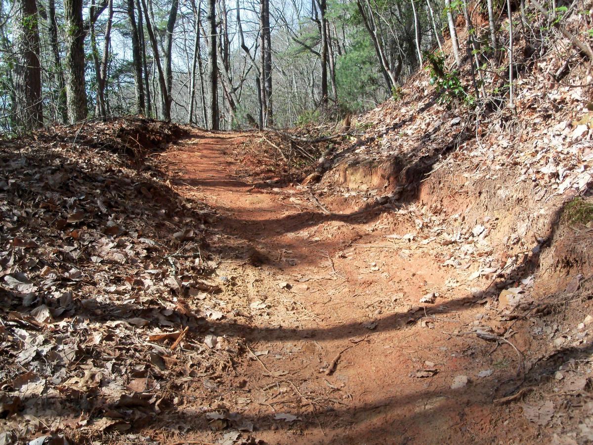 A dirt hiking path winding through a wooded area, surrounded by trees and scattered brown leaves. The trail is slightly elevated on either side, showing signs of wear and erosion. Sunlight filters through the branches above, illuminating the earthy tones of the landscape. Bull / Jake Mountain mountain bike trail.