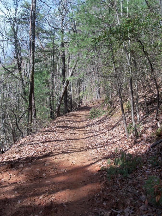 A winding dirt trail surrounded by trees, with a mix of bare branches and green foliage. The path is lined with fallen leaves, and sunlight filters through the canopy, casting soft shadows on the ground. Bull / Jake Mountain mountain bike trail.