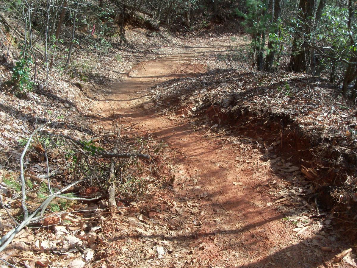 A dirt trail winding through a wooded area, with visible roots and fallen leaves along its edges. The path is narrow and partially surrounded by greenery, indicating a natural setting. Sunlight filters through the trees, casting shadows on the trail. Bull / Jake Mountain mountain bike trail.