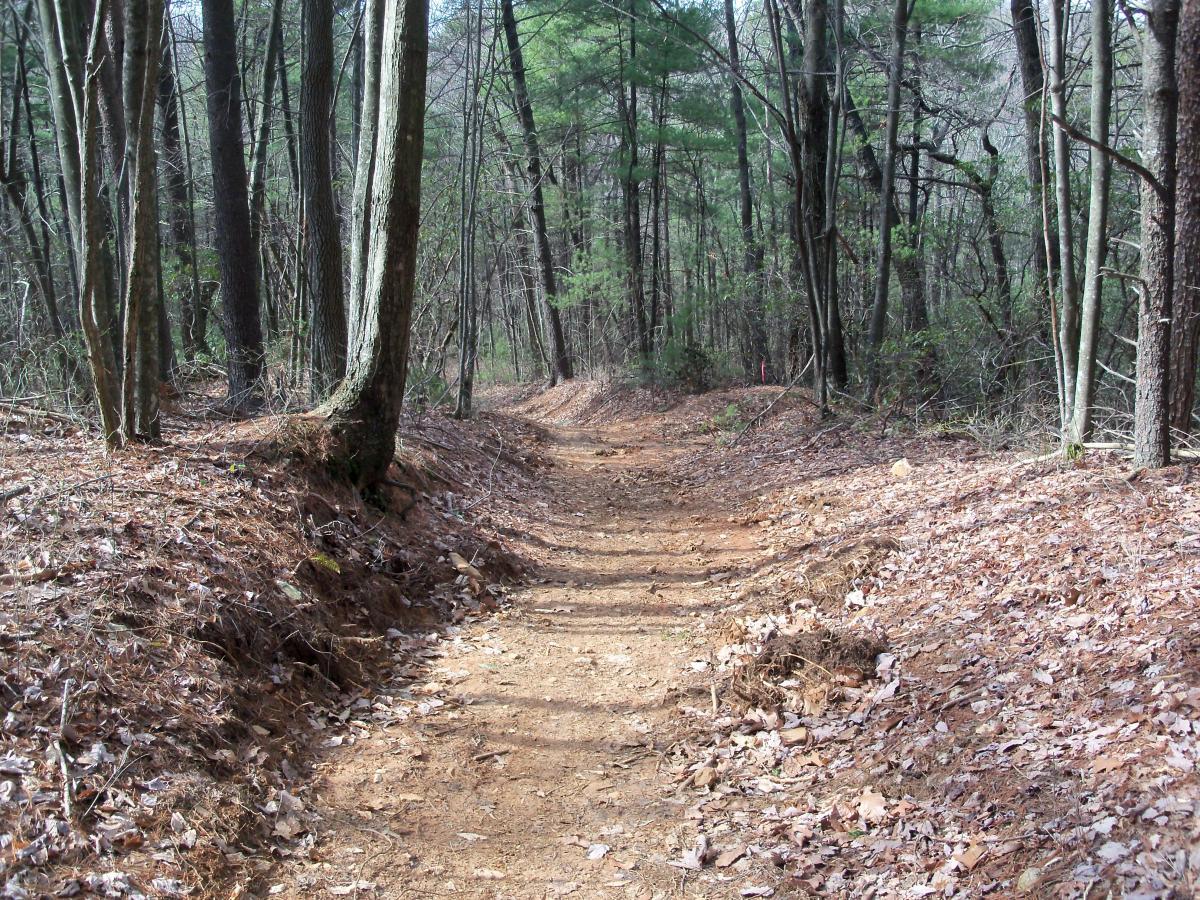 A winding dirt trail through a wooded area, surrounded by tall trees and scattered dried leaves on the ground. The path is clear but narrow, indicating a quiet, natural setting. Bull / Jake Mountain mountain bike trail.