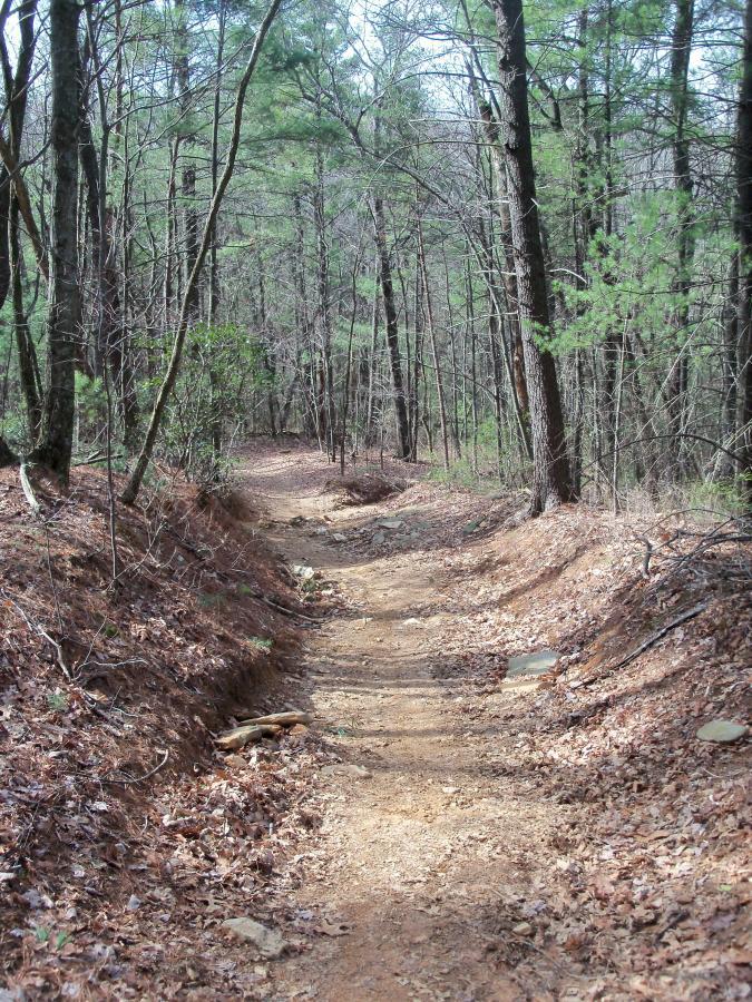 A narrow dirt trail winding through a forest, lined with trees and scattered leaves. The pathway shows signs of wear, with patches of exposed soil and rocks, surrounded by greenery and underbrush. Sunlight filters through the branches, illuminating the peaceful natural setting. Bull / Jake Mountain mountain bike trail.